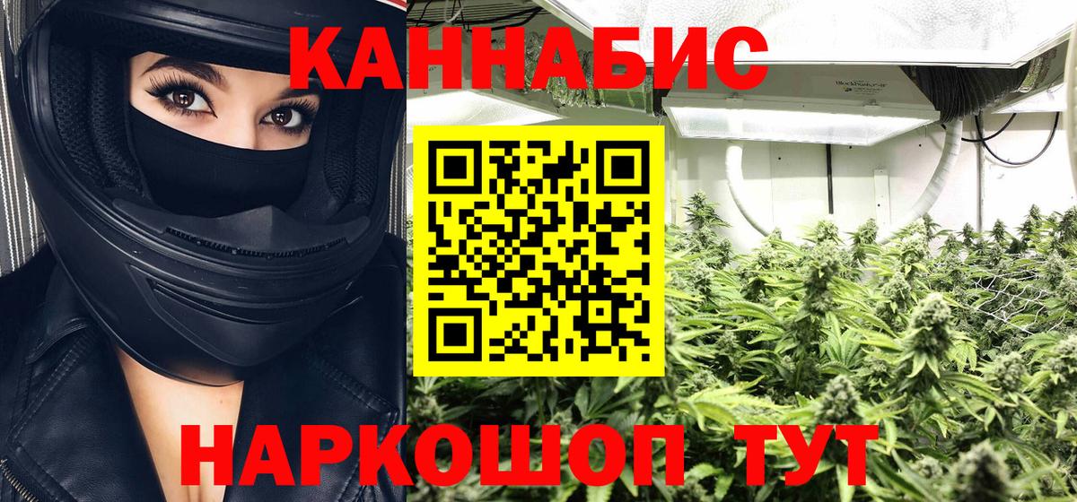 Шишки марихуана семена  Каннабис OG Kush  Каннабис Ganja  Старая Русса  Вход с VPN  Конопля план 